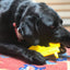 Tractor Nylon Dog Toy for Aggressive Chewers | USA Made | SodaPup