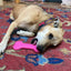 Bone eChew Ultra Durable Nylon Dog Chew Toy for Aggressive Chewers | USA Made