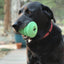 Christmas Tree Dog Toy - Durable Rubber Chew Toy for Large Dogs | USA Made