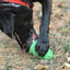 Christmas Tree Dog Toy - Durable Rubber Chew Toy for Large Dogs | USA Made
