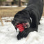 Christmas Tree Nylon Dog Chew Toy for Aggressive Chewers | USA Made & FDA Compliant