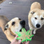 Colorado Maple Leaf Nylon Dog Chew Toy for Aggressive Chewers | USA Made