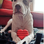 Heart on a String Dog Toy - Durable Rubber Tug Toy for Large Dogs | USA Made