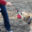 Heart on a String Dog Toy - Durable Rubber Tug Toy for Large Dogs | USA Made
