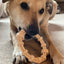 Chicken Flavored Teething Ring for Puppies & Aggressive Chewers | USA Made