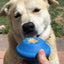 Flying Saucer Dog Toy - Durable UFO Chew Toy & Treat Dispenser | USA Made