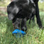 Flying Saucer Dog Toy - Durable UFO Chew Toy & Treat Dispenser | USA Made