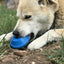 Flying Saucer Dog Toy - Durable UFO Chew Toy & Treat Dispenser | USA Made