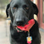Cherry Pie Nylon Dog Chew Toy for Aggressive Chewers | USA Made | SodaPup