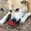Cherry Pie Nylon Dog Chew Toy for Aggressive Chewers | USA Made | SodaPup