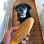 Corn on the Cob Nylon Dog Toy for Aggressive Chewers | USA Made | SodaPup