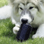 Magnum Can Toy Rubber Dog Chew Toy for Extreme  Chewers | Treat Dispenser | USA Made