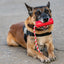 USA-K9 Firecracker Floating Training Dummy | K9 Handler Reward Toy | Red | USA Made