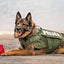 USA-K9 Grenade Rubber Dog Chew Toy | K9 Handler Reward Toy | Red & Blue | USA Made