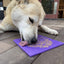Bones eMat - Enrichment Lick Mat for Dogs and Cats | eMat Enrichment Toy for Anxiety Relief | SodaPup
