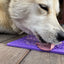 Bones eMat - Enrichment Lick Mat for Dogs and Cats | eMat Enrichment Toy for Anxiety Relief | SodaPup