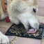 Zombie eMat - Enrichment Lick Mat for Dogs and Cats | Halloween Skull Design | SodaPup