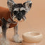Soufflé Pet Bowl - Cream Beige