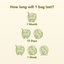 All-Natural, Non-Toxic Plant-Based Cat Litter - 1 Pack (Collective)