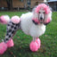 Critter Color - Temporary Pet Fur Coloring/Dog Dye