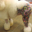 Critter Color - Temporary Pet Fur Coloring/Dog Dye
