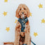 Dog Leash - To the Stars and Beyond