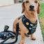 Dog Rope Leash - Noir