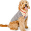 Spencer Dog Sweater