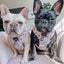 Dog Adjustable Harness - Sakura