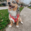 Dog Adjustable Harness - Hello Kitty® Red Classic