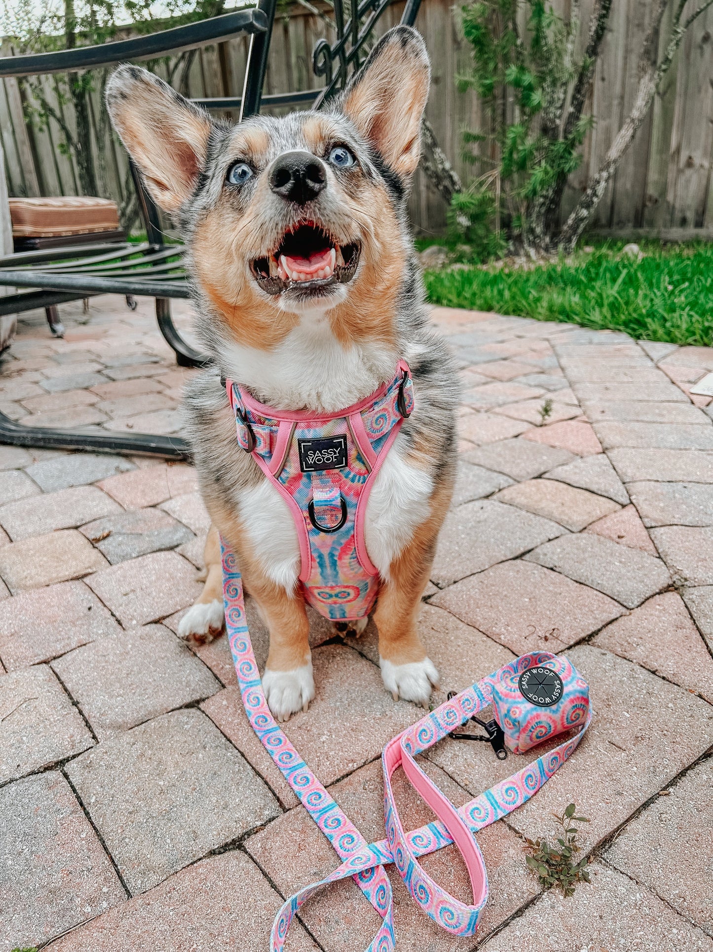 Dog Leash - Good Vibes