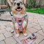 Dog Step-in Harness - Good Vibes