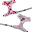 Strawberry Milk Reversible Harness