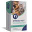 Stress Test
