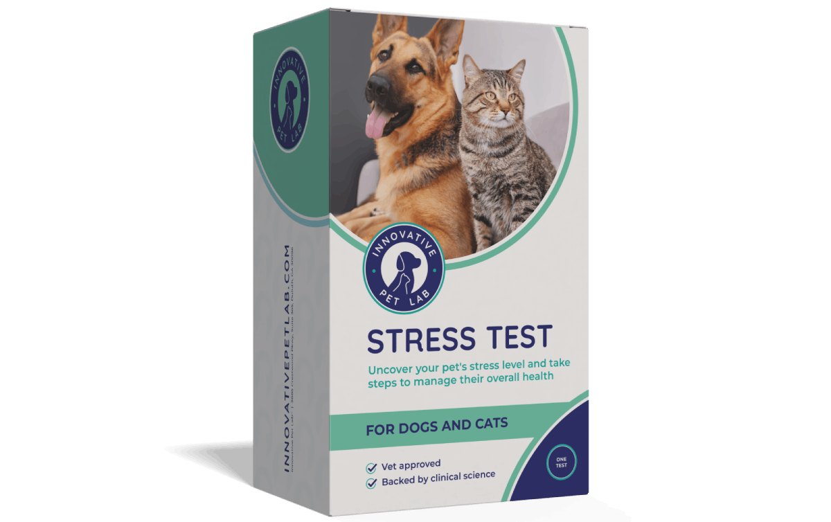 Stress Test