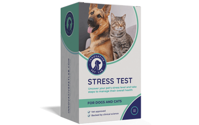 Stress Test