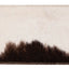 STS Men's Cowhide Bifold Wallet