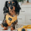 Dog Adjustable Harness - Sunflower Fields