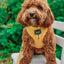 Dog Adjustable Harness - Sunflower Fields