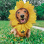 Dog Adjustable Harness - Sunflower Fields