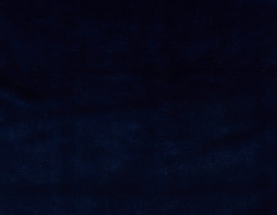 Mink Navy Blanket