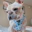 Dog Adjustable Harness - Berry Sassy