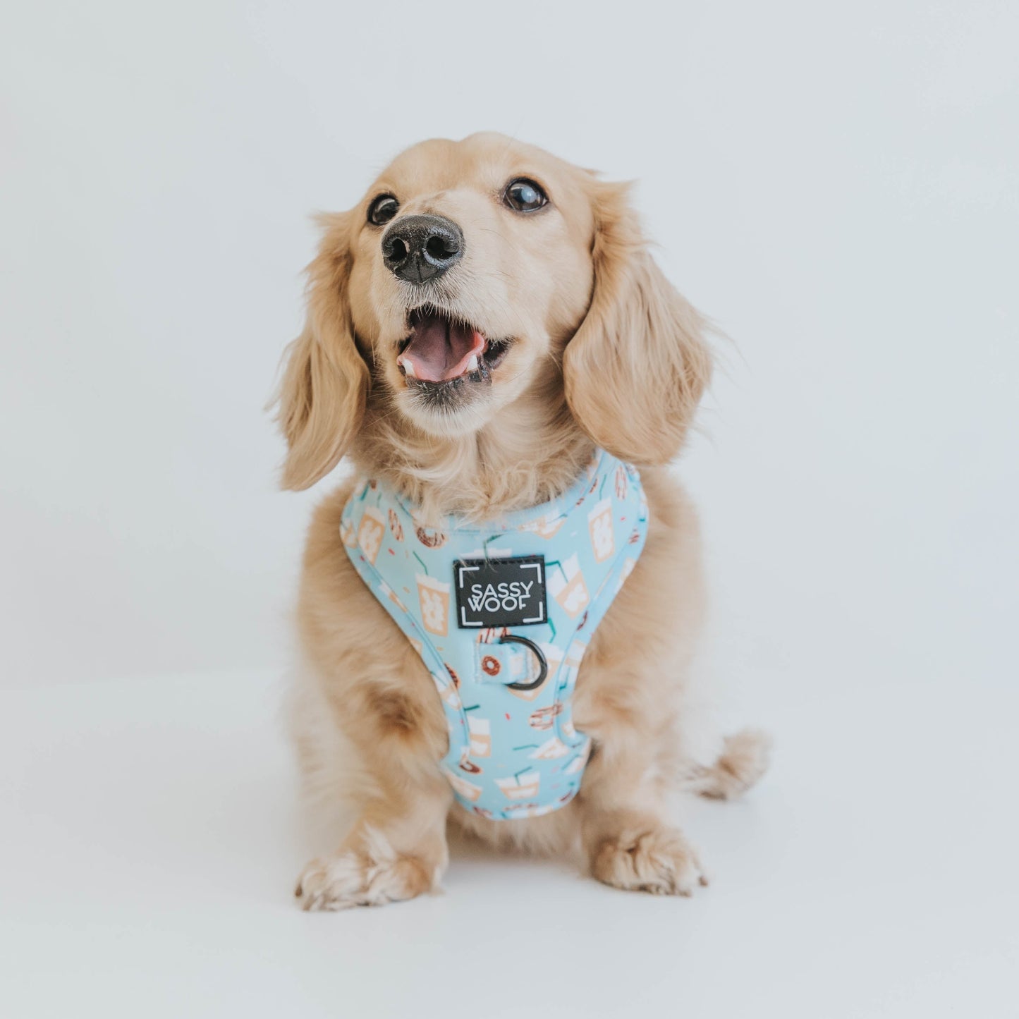 Dog Adjustable Harness - Sweets & Pawfee