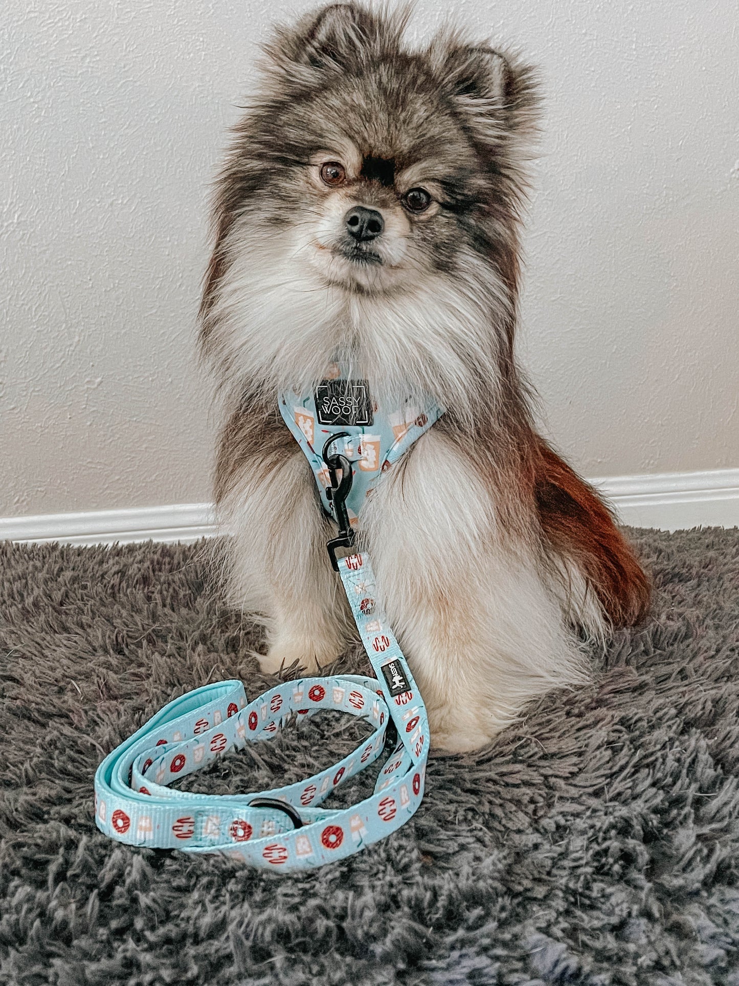 Dog Adjustable Harness - Sweets & Pawfee