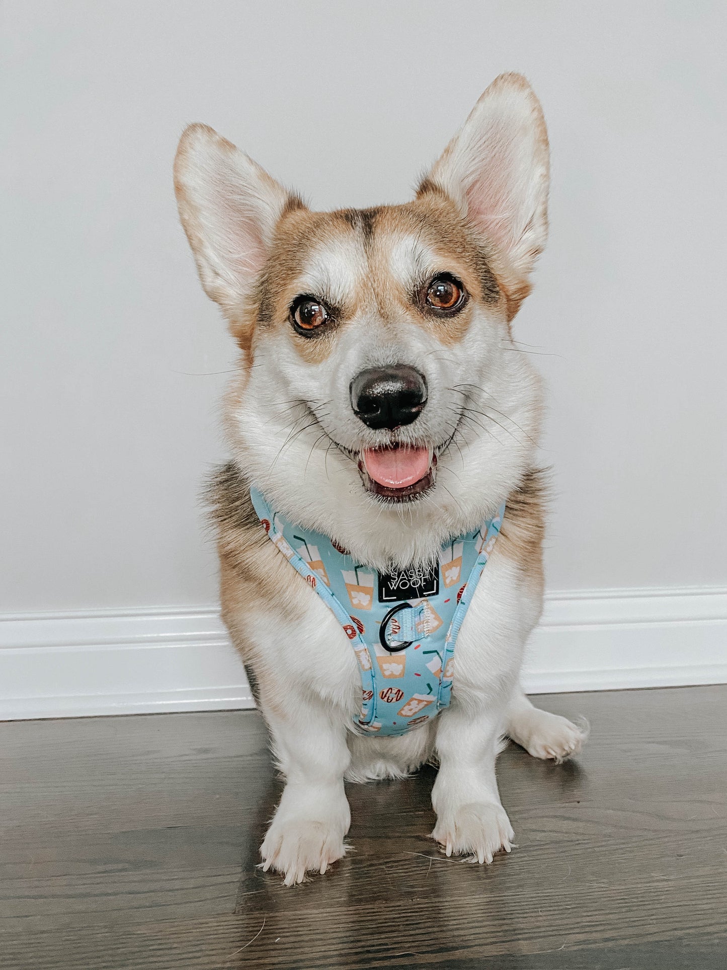 Dog Adjustable Harness - Sweets & Pawfee