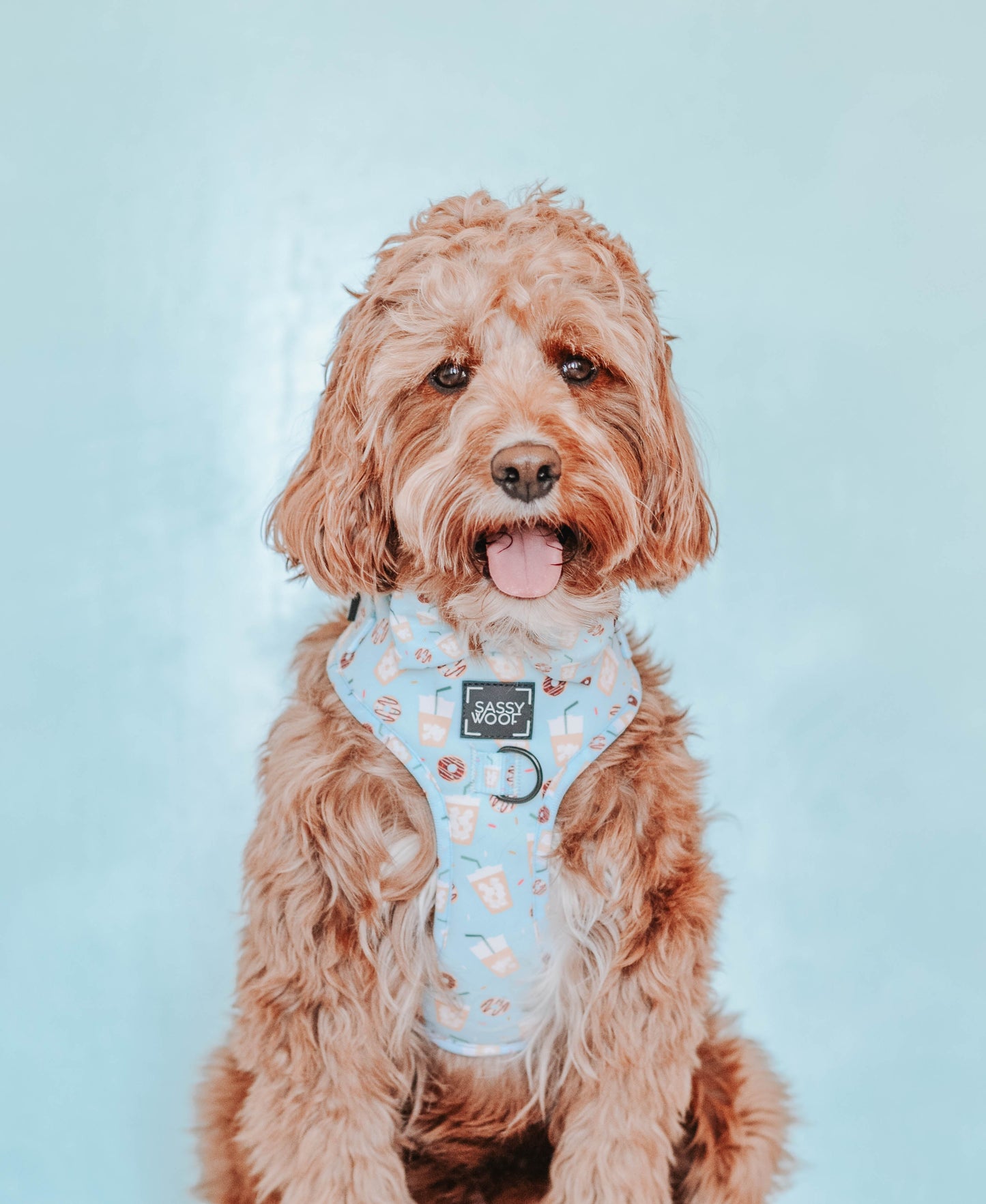 Dog Adjustable Harness - Sweets & Pawfee