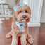 Dog Adjustable Harness - Sweets & Pawfee