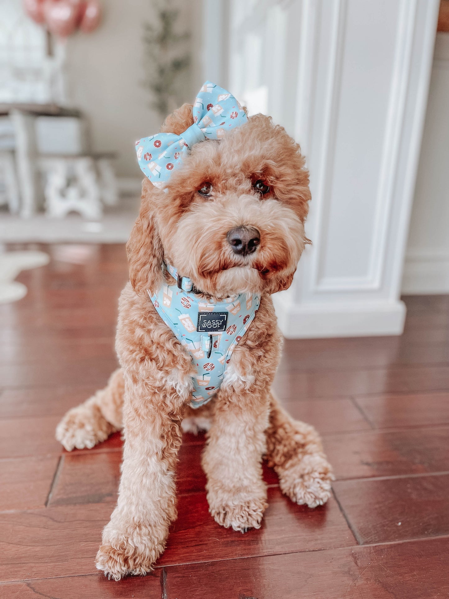 Dog Adjustable Harness - Sweets & Pawfee