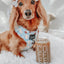 Dog Adjustable Harness - Sweets & Pawfee