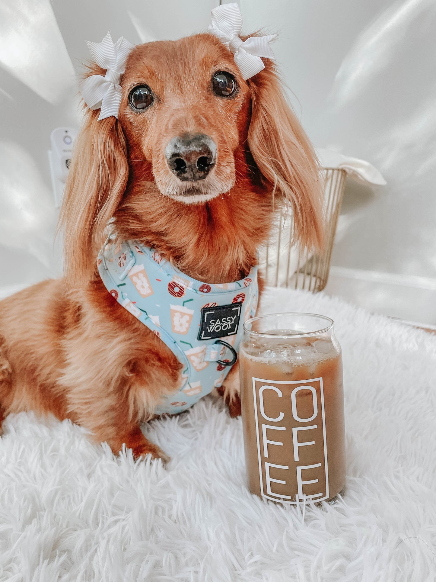 Dog Adjustable Harness - Sweets & Pawfee